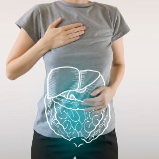 Contribuye a mejorar la digestión y el metabolismo