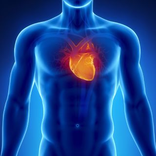 Apoya la salud cardiovascular y reduce el colesterol